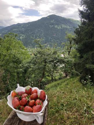 Farvana Didachara Exteriér fotografie